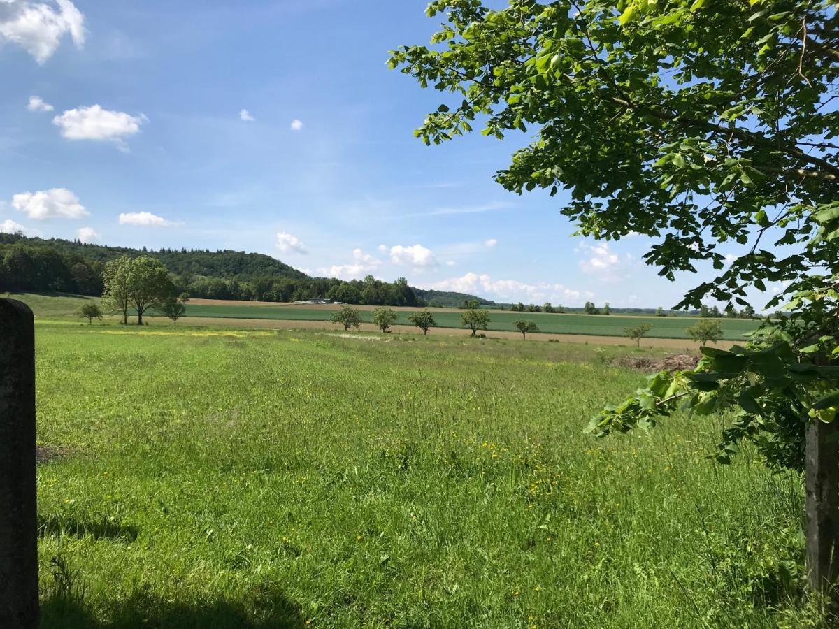 Appartment Ivonete Wettringen  Exteriér fotografie