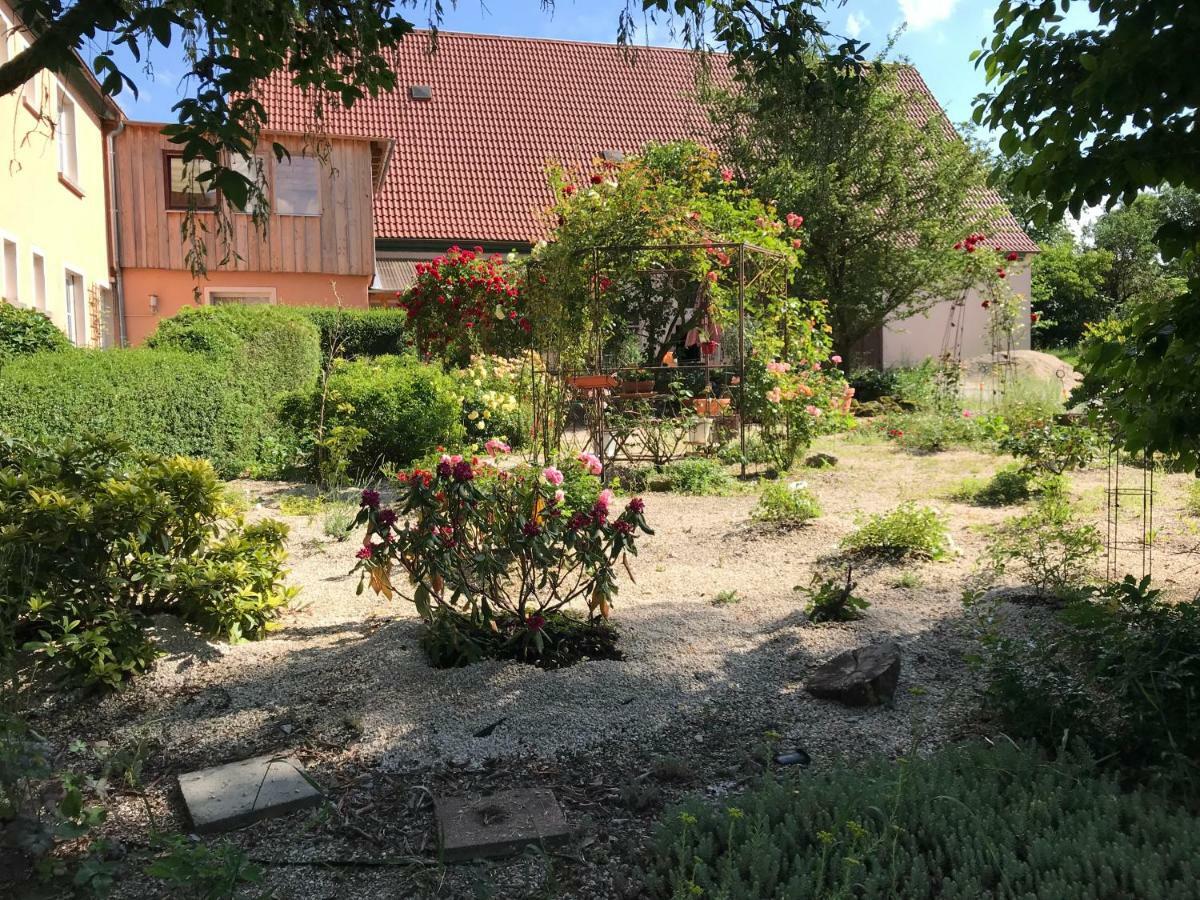 Appartment Ivonete Wettringen  Exteriér fotografie